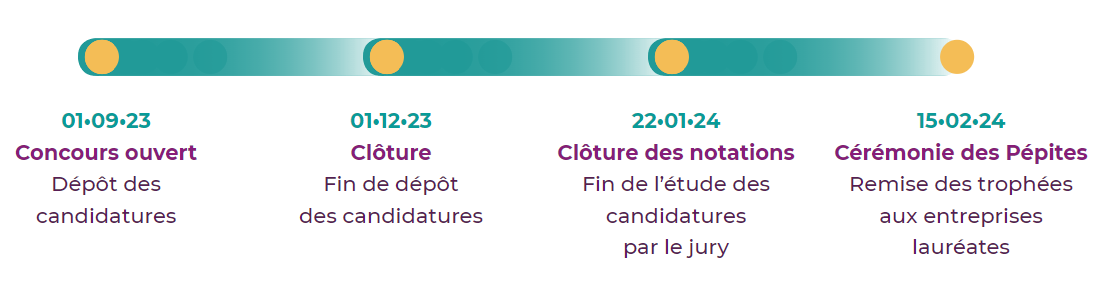Pépite de l'alternance en Normandie