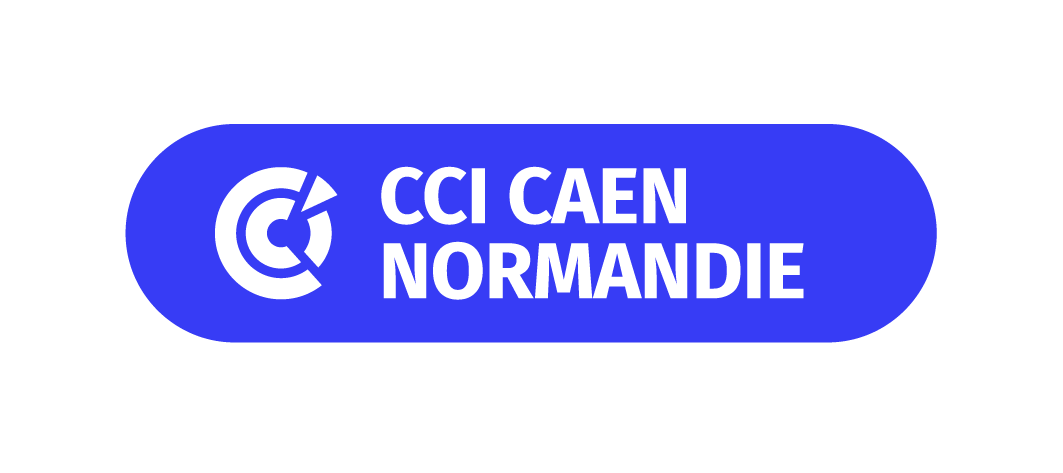 Logo CCI France