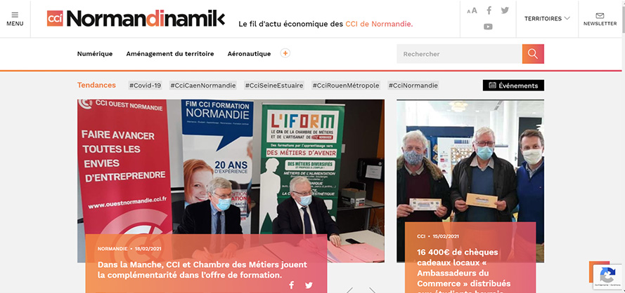 Normandinamik