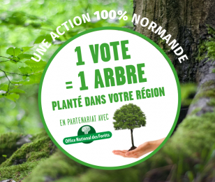 1 vote / 1 arbre