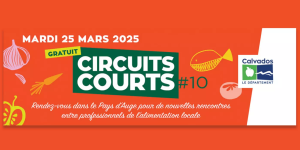 Circuits courts visuel